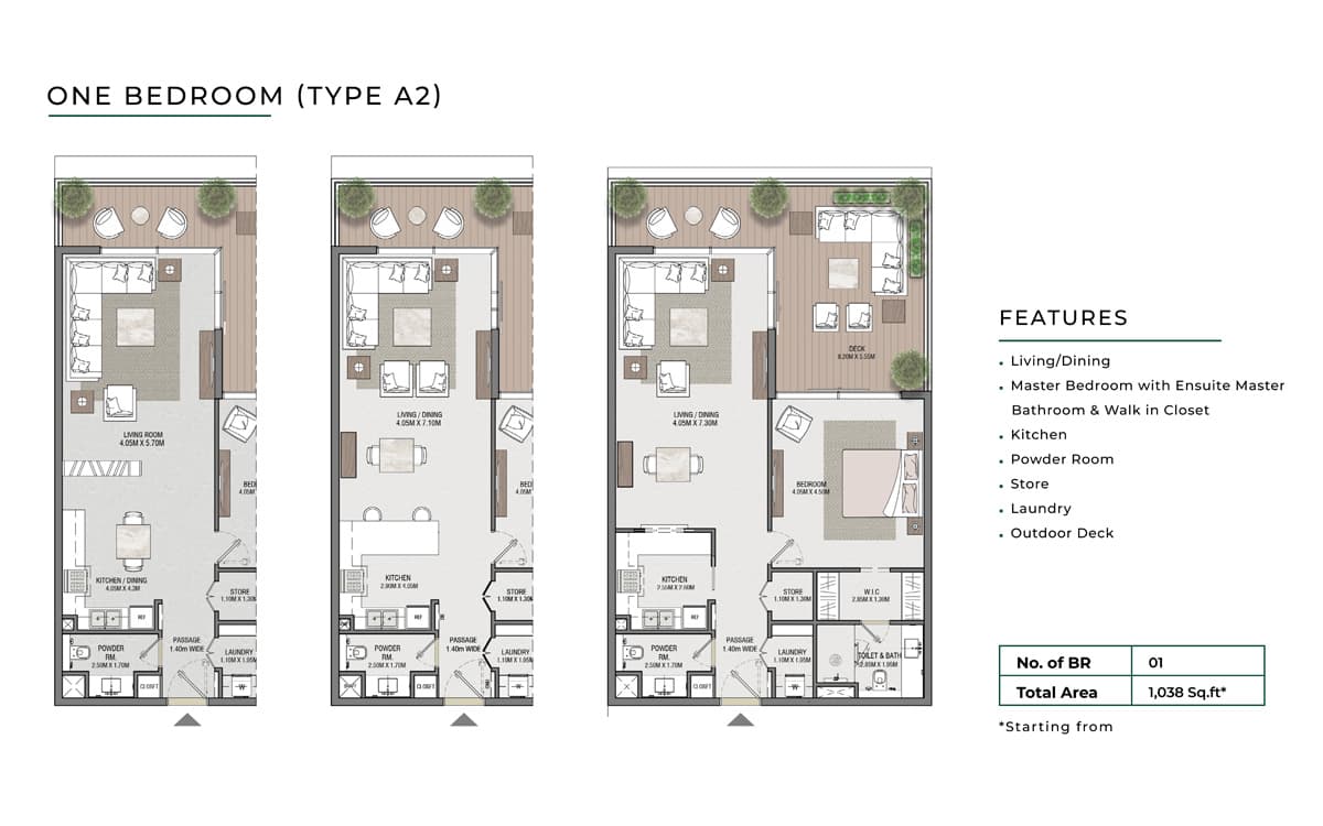 Type A2