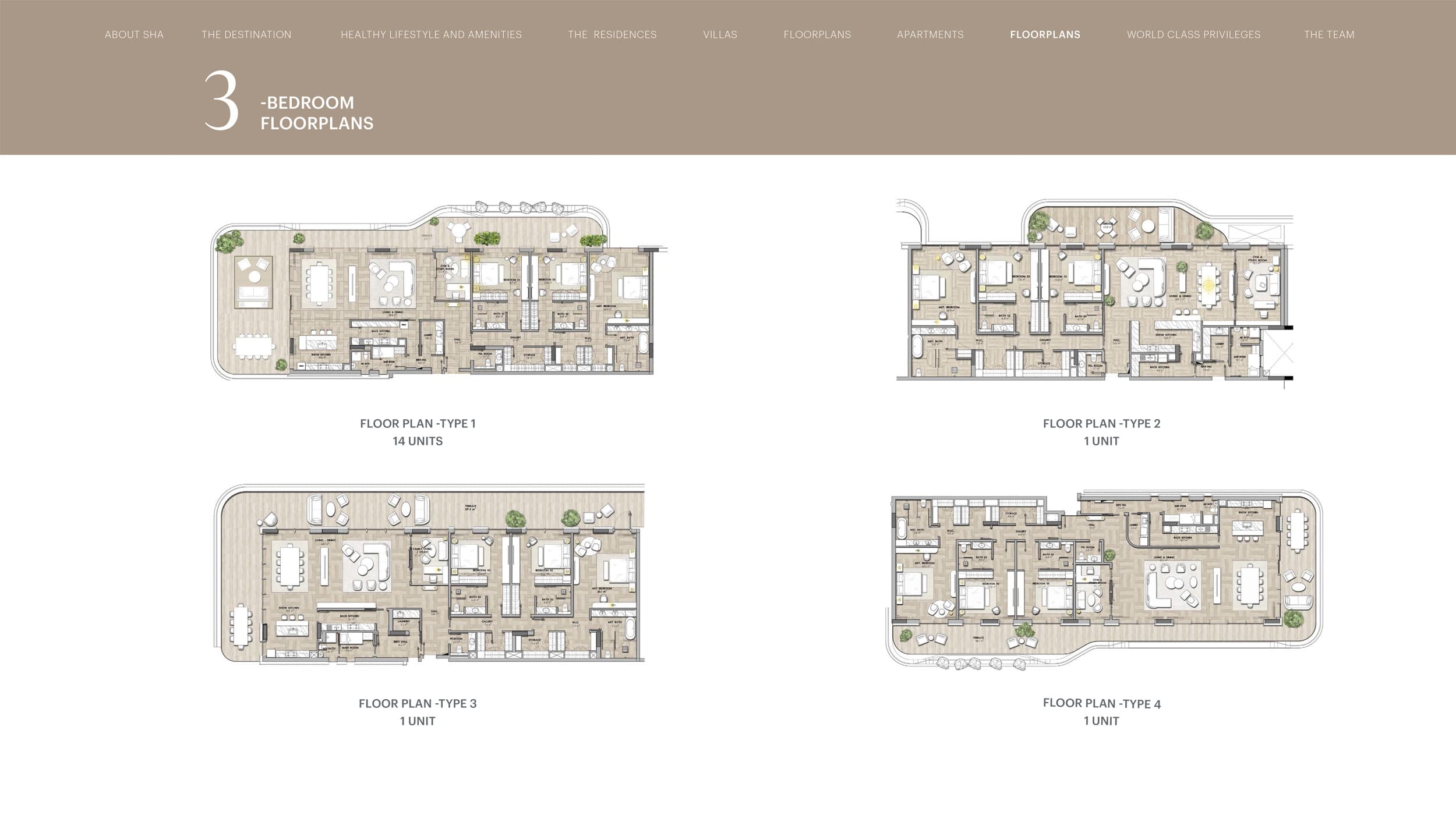 3 BR