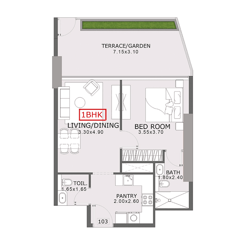 1 BR