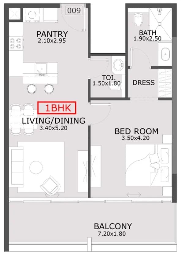 1 BR