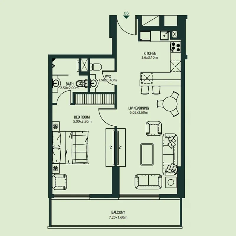 1 BR